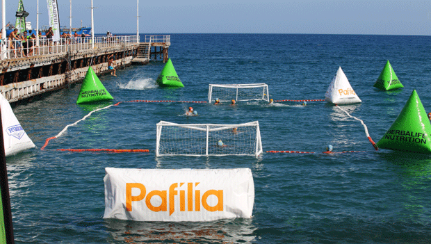 pafilia1