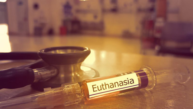 euthanasia2